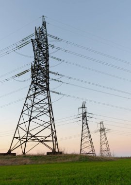 Yüksek voltaj hatları, elektrik direkleri ve güneş doğarken yeşil tarım arazisi. Bir fotoğrafta tarım ve endüstri derneği. Avrupa ovasının güzel bahar manzarası.
