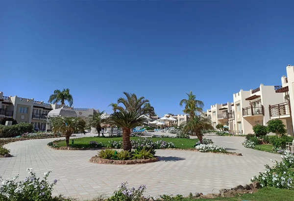 The hotel territory in the sea resort. Well-groomed lawns and palm trees under the bright midday sun.