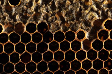 Bal peteği dokusu tatlı nektarı bal peteğinden henüz çıkarılmadı. Koyu altın renkli bal peteklerinin arka planı. Bal peteklerinin makro çekimi. Dekoratif arkaplan.