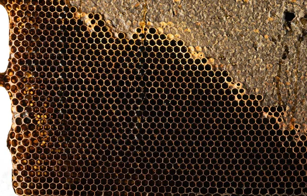 Honeycomb Texture Söt Nektar Som Ännu Inte Extraherats Bikakan Bakgrund — Stockfoto