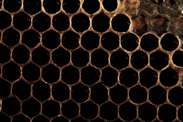 Méhsejt Textúra Édes Nektár Melyet Még Nem Vontak Méhsejtszerkezetből Méhsejt — Stock Fotó