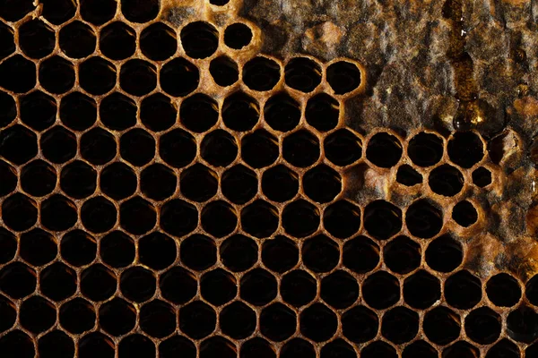 Honeycomb Texture Söt Nektar Som Ännu Inte Extraherats Bikakan Bakgrund — Stockfoto