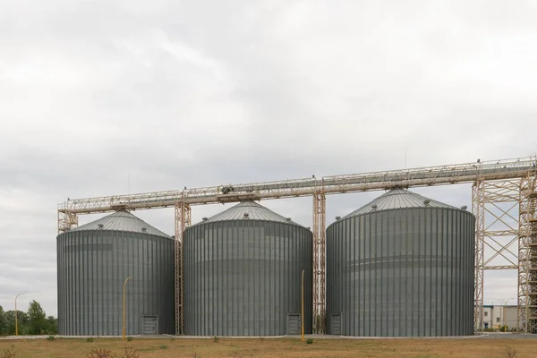 Modern Elevator Storing Grain Sky Grain Drying Complex Storage Transportation — Stock Photo, Image