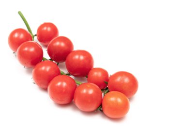 Beyaz arka planda kırmızı kiraz domateslerinden bir dal. Küçük ve sulu sebzeler vitamin ve eser elementler açısından zengindir. Sağlıklı yiyecekler. Taze ve organik sebzeler. Çiğ yemek..