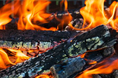 Parlayan odunlar ve kıvranan alevlerle büyüleyici şenlik ateşi. Yanan ağacın dokusu. Yemek pişirmek için doğada şenlik ateşi.