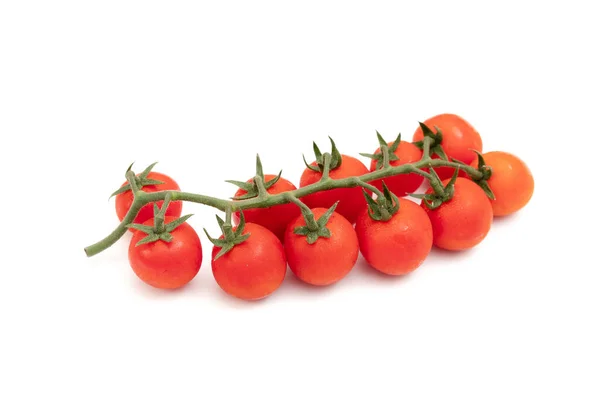 Ein Zweig Roter Kirschtomaten Auf Weißem Hintergrund Das Kleine Saftige — Stockfoto