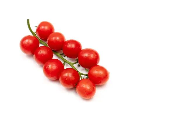 Ветка Красных Помидоров Черри Белом Фоне Маленькие Сочные Овощи Богаты — стоковое фото