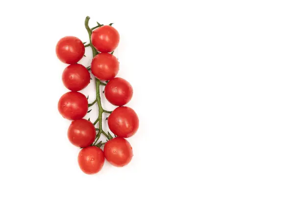 Ein Zweig Roter Kirschtomaten Auf Weißem Hintergrund Das Kleine Saftige — Stockfoto