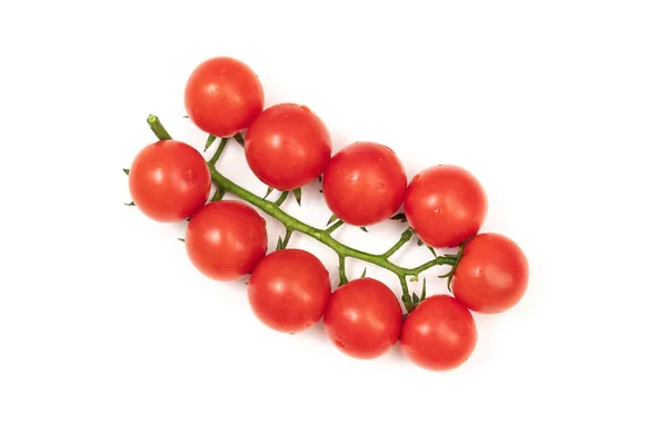 Ein Zweig Roter Kirschtomaten Auf Weißem Hintergrund Das Kleine Saftige — Stockfoto