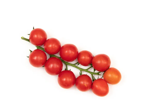 Ein Zweig Roter Kirschtomaten Auf Weißem Hintergrund Das Kleine Saftige — Stockfoto