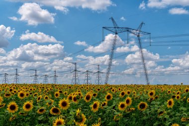 Kentsel alanda yüksek elektrik direkleri var. Enerji arzı, enerji dağılımı, enerji iletimi, enerji iletimi, yüksek voltaj arzı konsepti fotoğrafı.