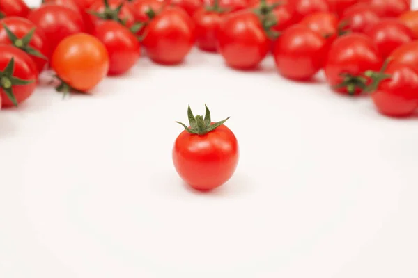 Tomates Rojos Esparcidos Sobre Fondo Blanco Las Verduras Pequeñas Jugosas —  Fotos de Stock