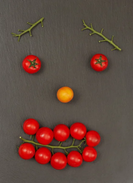 幸せな表情で笑顔 トマトやトマトの枝などの野菜と人間の顔の一部をレイアウト — ストック写真
