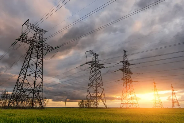 Bulutlu bir gökyüzünün arka planında yeşil buğday tarlasından geçen yüksek voltajlı elektrik hatları..