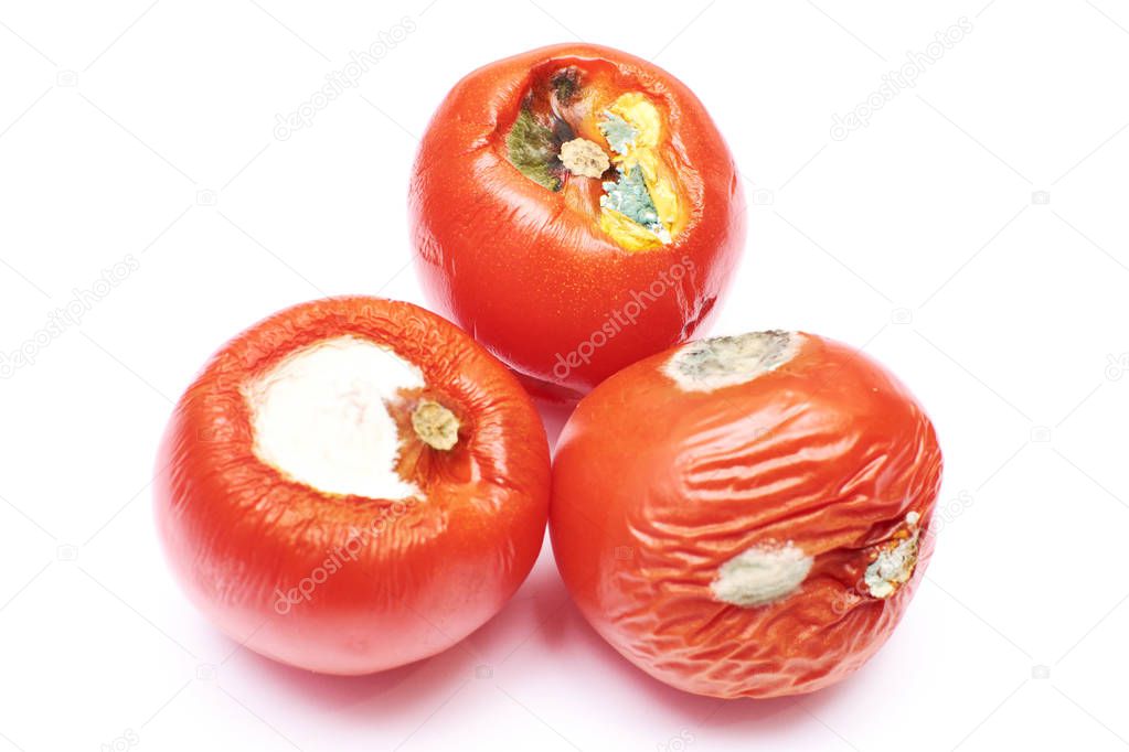 spoiled tomatoes on an isolated