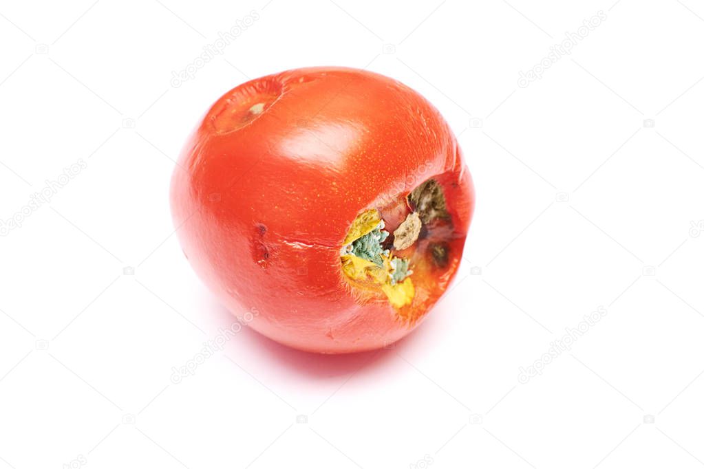 spoiled tomatoes on an isolated