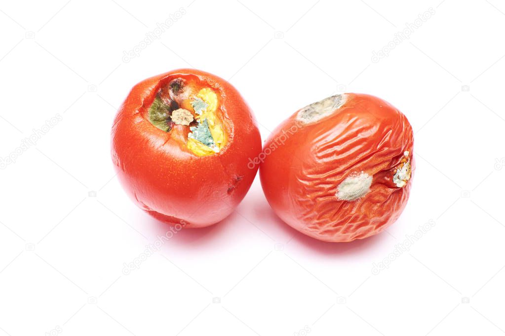 spoiled tomatoes on an isolated