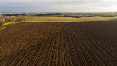 Mısır hava sonbaharda hasat