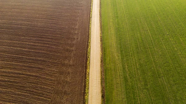 Maisernte im Herbst aus der Luft — Stockfoto