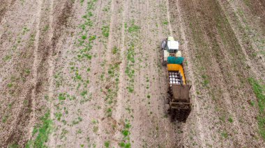 Karavanı olan bir traktör tarlayı doğal gübre gübresiyle gübreler. Hava görünümü.