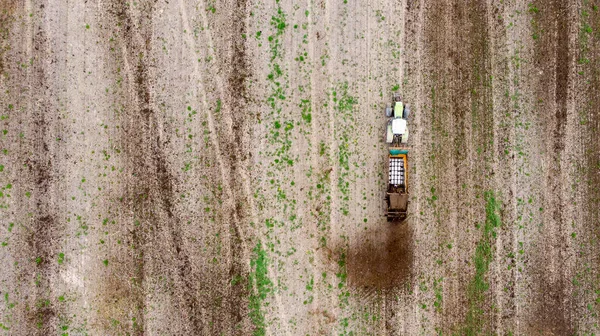 Ein Traktor Mit Anhänger Düngt Das Feld Mit Natürlichem Dünger — Stockfoto