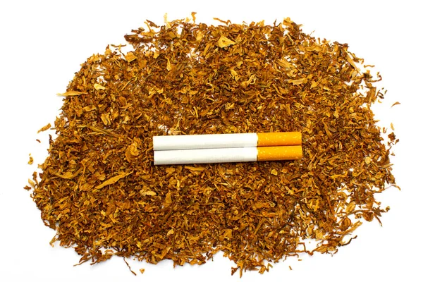 Journée Mondiale Sans Tabac Interdiction Fumer Pour Environnement Concept Mode — Photo