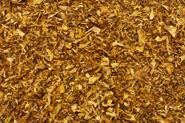 タバコの質感 高品質ドライカットタバコの大きな葉をバックグラウンドを閉じる — ストック写真
