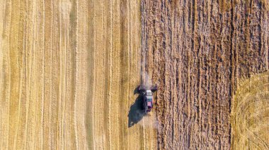 Hasat et. Kırmızı hasatçılar tarlada çalışıyor. Buğday ve tarım makinelerinin havadan görüntüsü. Üst görünüm.