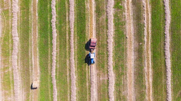 Аерофотозйомка Трактора Прес Підбирачем Тюків Соломи Зібраному Полі Вид Зверху — стокове фото