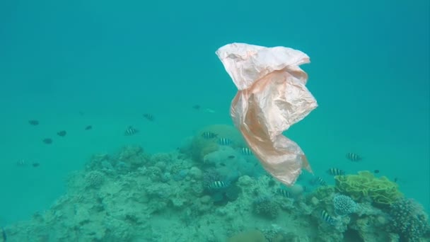 Сміттєвий пластиковий пакет пливе над кораловими рифами в червоному морі — стокове відео