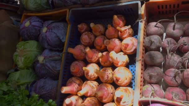 Maravilhosamente vitrine no mercado vegetal — Vídeo de Stock