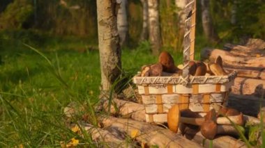 Hasır sepet mantar bir ahşap köprü