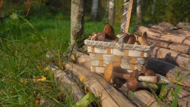 Weidenkorb mit Pilzen auf einer Holzbrücke — Stockvideo