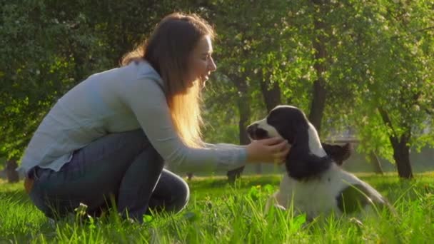 O proprietário beija o cão Inglês cocker spaniel — Vídeo de Stock