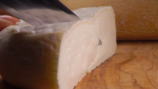 Trozo de queso de oveja blando de leche entera — Vídeos de Stock