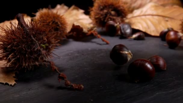 黒い石のボードに秋の栗 — ストック動画