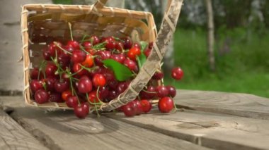 Olgun kiraz sepetle ahşap bir masaya düşüyor