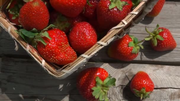 Basket with ripe strawberries stands on a table — Stock Video