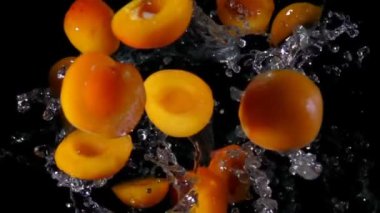 Kameraya kayısı sinekler siyah bir zemin üzerine