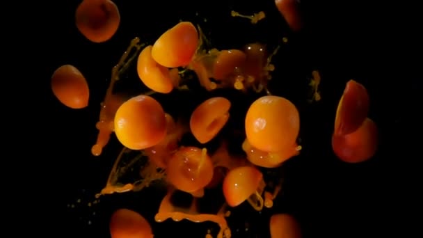 Abricots vole vers la caméra sur un fond noir — Video