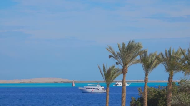 Día soleado en la orilla del mar — Vídeos de Stock