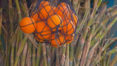 Şeker kamışı ve portakal