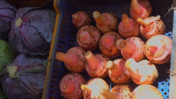 Schöne Vitrine auf dem Gemüsemarkt — Stockvideo