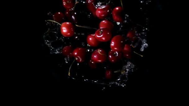 Cherry with water rotates in the air — Stock Video