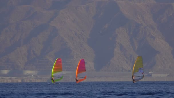 Clases de verano de windsurf con un instructor en la bahía del mar — Vídeos de Stock