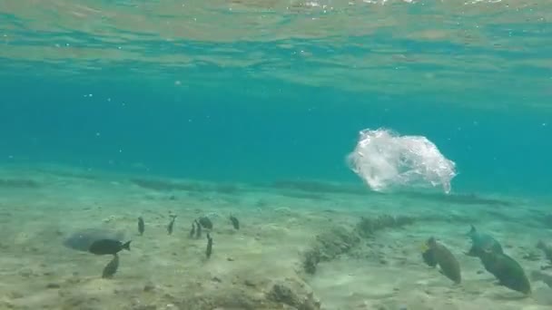 Lixo flutua sobre recifes de coral no mar — Vídeo de Stock