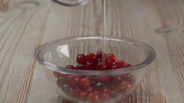 Cranberries filled with sugar syrup — Stock Video
