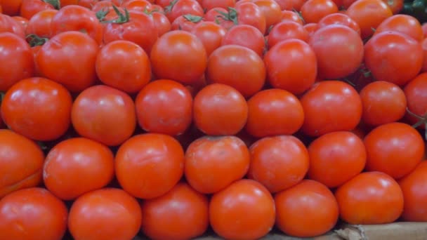 Belle vitrine sur le marché des légumes 