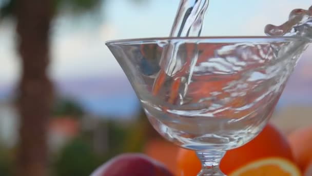 Martini wird in ein Glas auf einem Hintergrund aus Zitrusfrüchten gegossen — Stockvideo