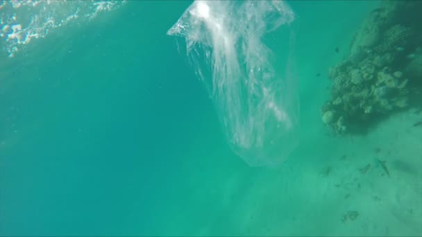 Papperskorgen Flyter Över Korallrev Röda Havet Föroreningar — Stockvideo